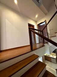 Holland Link (D10), Terrace #577696131